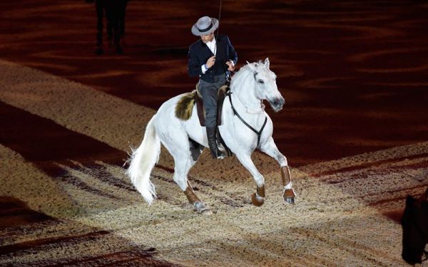“O Orgulho de Portugal” brilha em Olympia: Carl Hester ganha o Grande Prémio