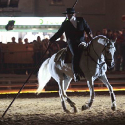 Gala Ibérica Serpa Equestre 2013