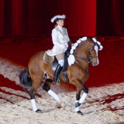 EVENT WITH THE INTERNATIONAL HORSERIDER LUÍSA VALENÇA RODRIGUES AT CENTRO HÍPICO VALE DO SOUSA