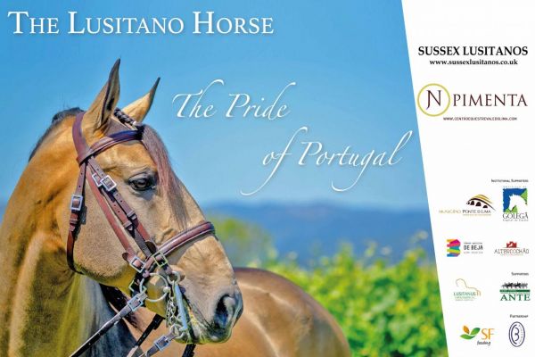 NPimenta leva Cavalo Lusitano ao London International Horse Show